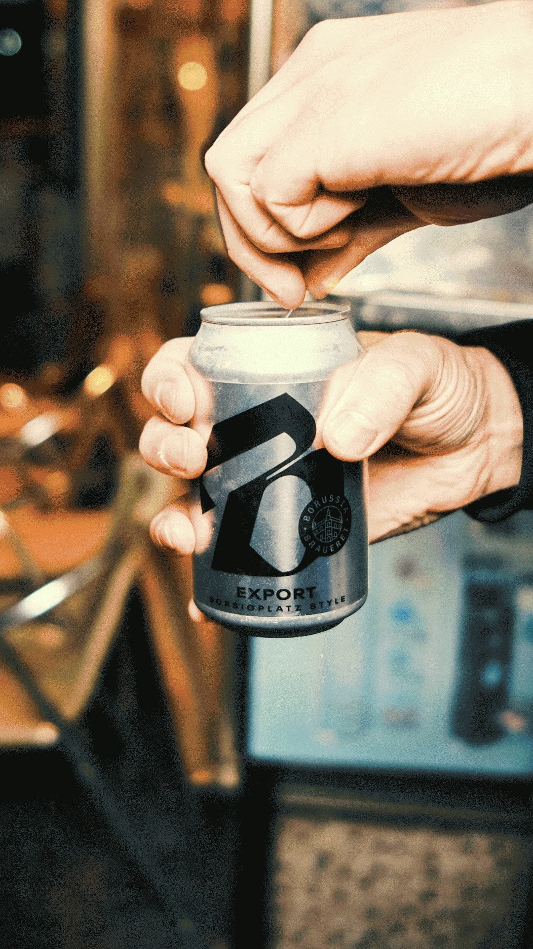 12 x 0,33l Borussia Export